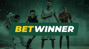 Explore the BetWinner Platform A Comprehensive Guide