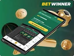 Explore the BetWinner Platform A Comprehensive Guide