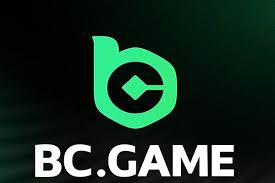 دليل شامل لأسلوب اللعب على BC.Game