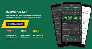 Discovering BetWinner Online Casino An In-Depth Review