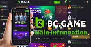 BC.Game Registration Guide Your Step-by-Step Manual