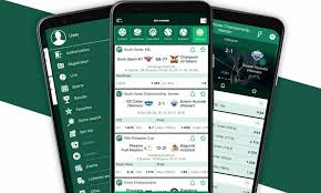 APK for BetWinner Your Ultimate Betting Companion