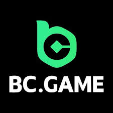 Understanding BC App Verification A Comprehensive Guide -734600730