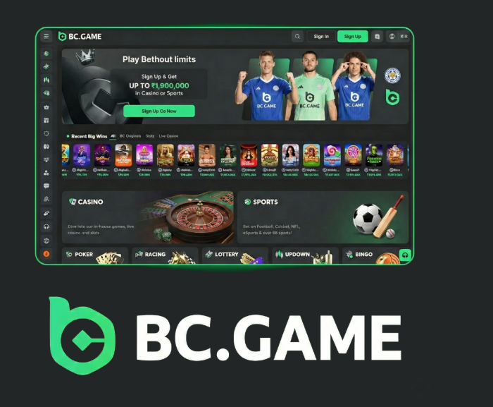 Discover the Thrills of BC.Game UA Your Ultimate Online Casino Experience -333173229
